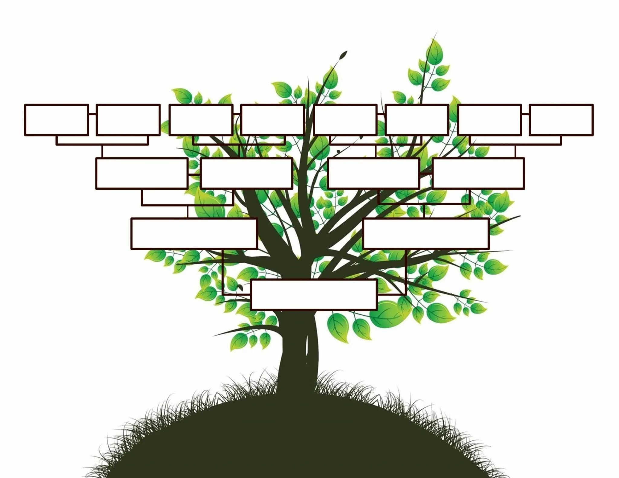 Как сделать семейное древо на компьютере. Family tree(семейное древо). родословная генеалогическое дерево. дерево родословной family tree. генеалогическое древо family tree.