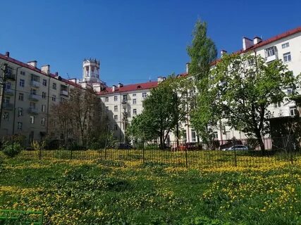 Национальный исследовательский институт дополнительного образования