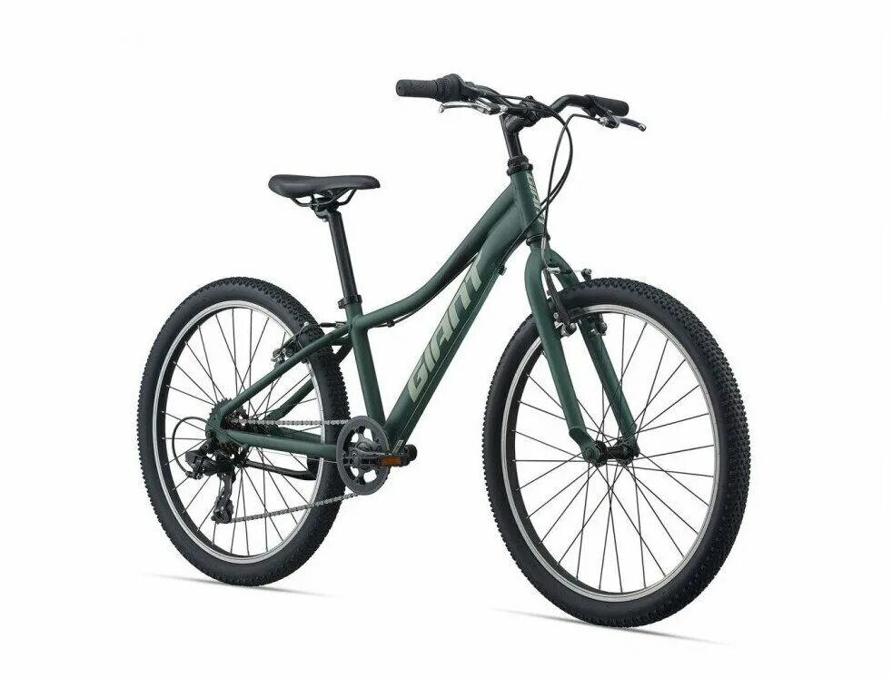 Отзывы гиант. Giant roam 3 2022. Giant contend ar. Giant городской велосипед. Отзывы гиант.