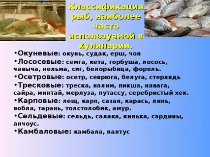 Ерш скат окунь карась камбала