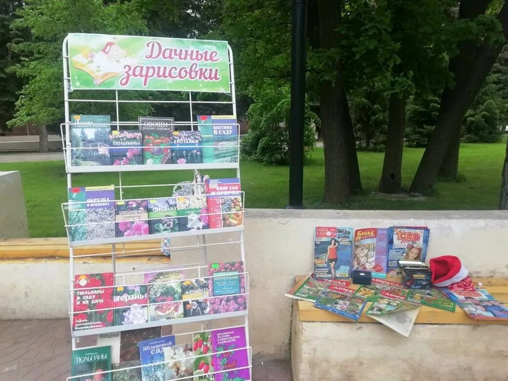 акция читающая скамейка. читающая скамейка. с книжкой на скамейке. лето с книжкой на скамейке. книжка на скамейке в парке.