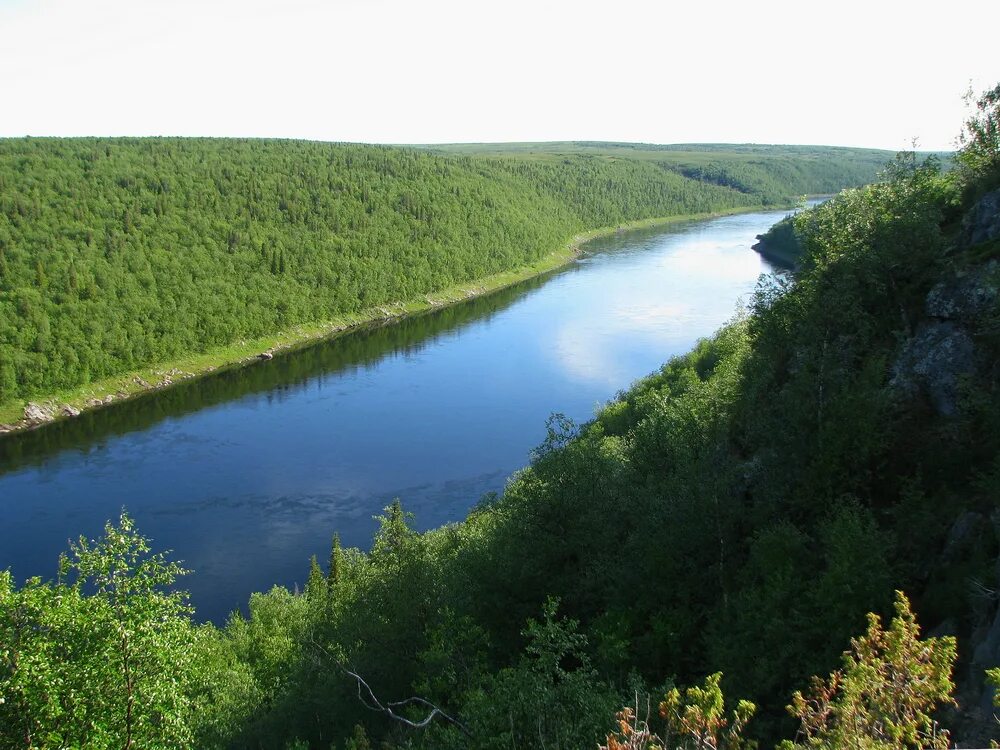 Река поной мурманской области. Кольский полуостров река Поной. Река паной Кольский полуостров. Поной Исток.