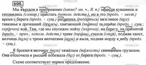Заросли разбор 2