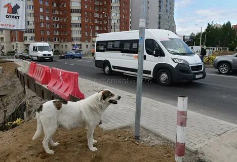 Кудровский проезд 2