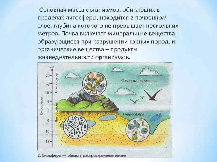 Литосфера гидросфера атмосфера биосфера. Структура границы и основные свойства биосферы. Строение биосферы земли. Границы биосферы схема. Биосфера как система.