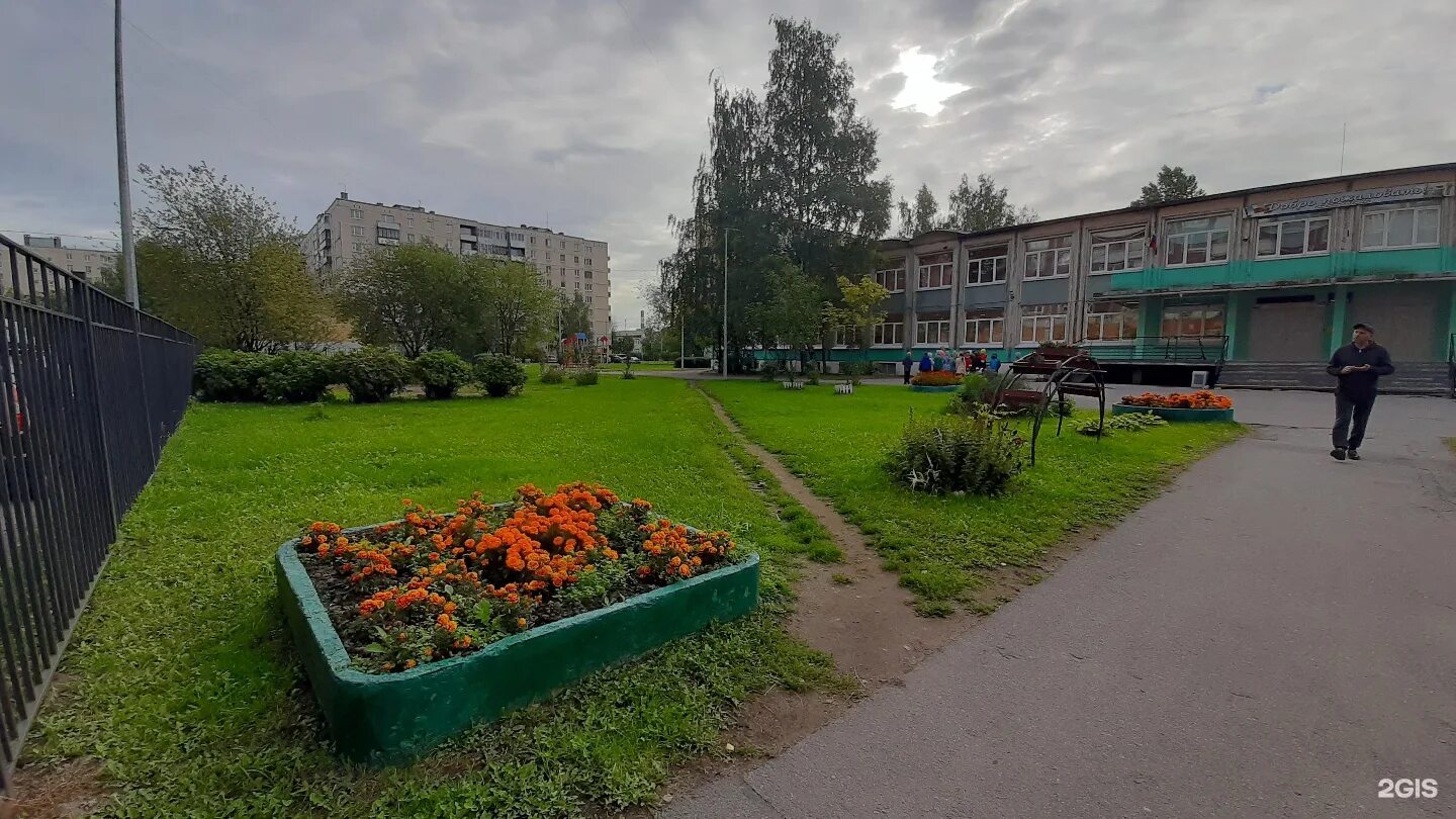 Школа 365 фрунзенского района санкт-петербурга. Школа 313 фрунзенского района. 365 школа фрунзенского района. 365 школа фрунзенского района директор. Школа 365 фрунзенского района директор школы.