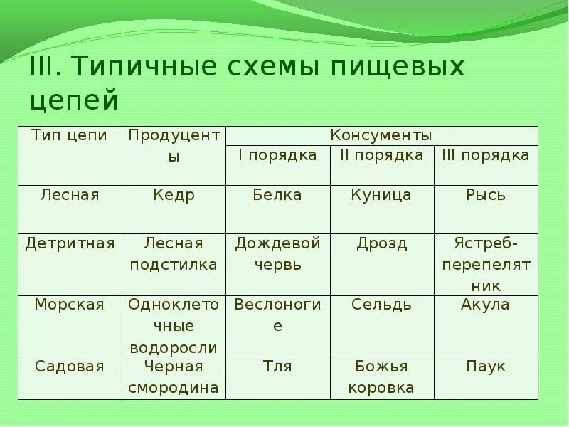 Пищевая цепь примеры 9 класс