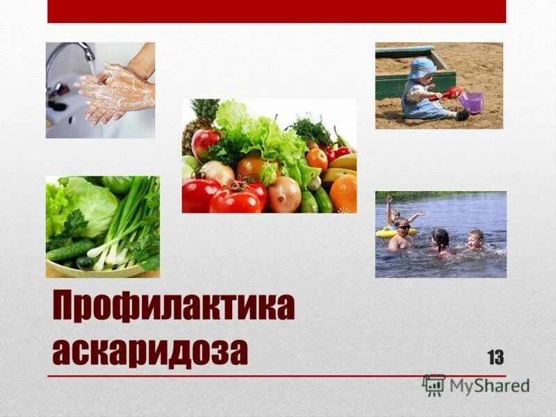 Какие продукты источник аскаридоза. Памятка профилактика заражения аскаридами. Меры профилактики аскаридоза. Ппрфилактикааскаридоза. Меры профилактики заражения аскаридозом.