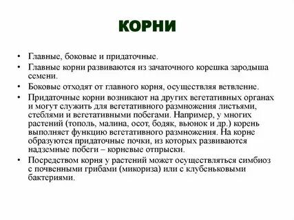 Корень развивающийся из корешка зародыша называют