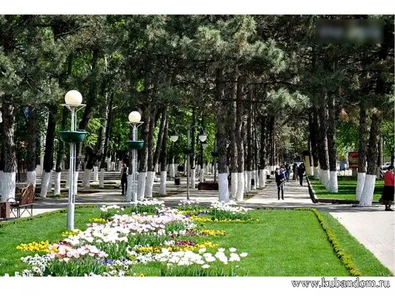 краснодарский край ул комсомольская. динская станица площадь. краснодарский край ул комсомольская. парк кропоткин краснодарский край. пашковский микрорайон краснодар.