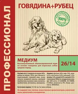 Актив собака