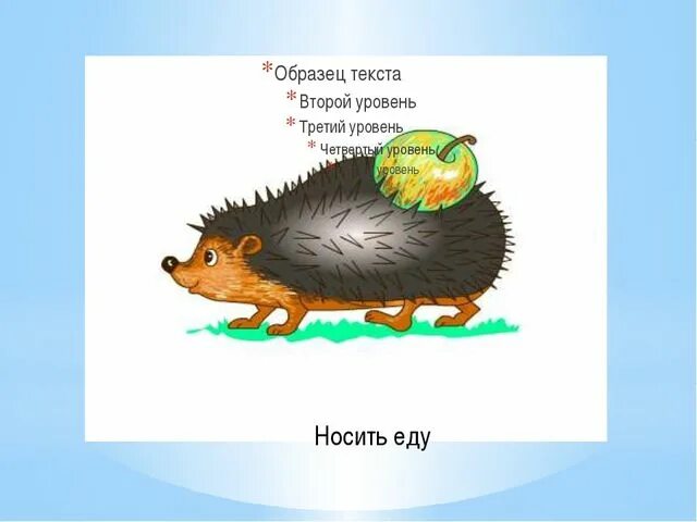 Сколько иголок носит еж