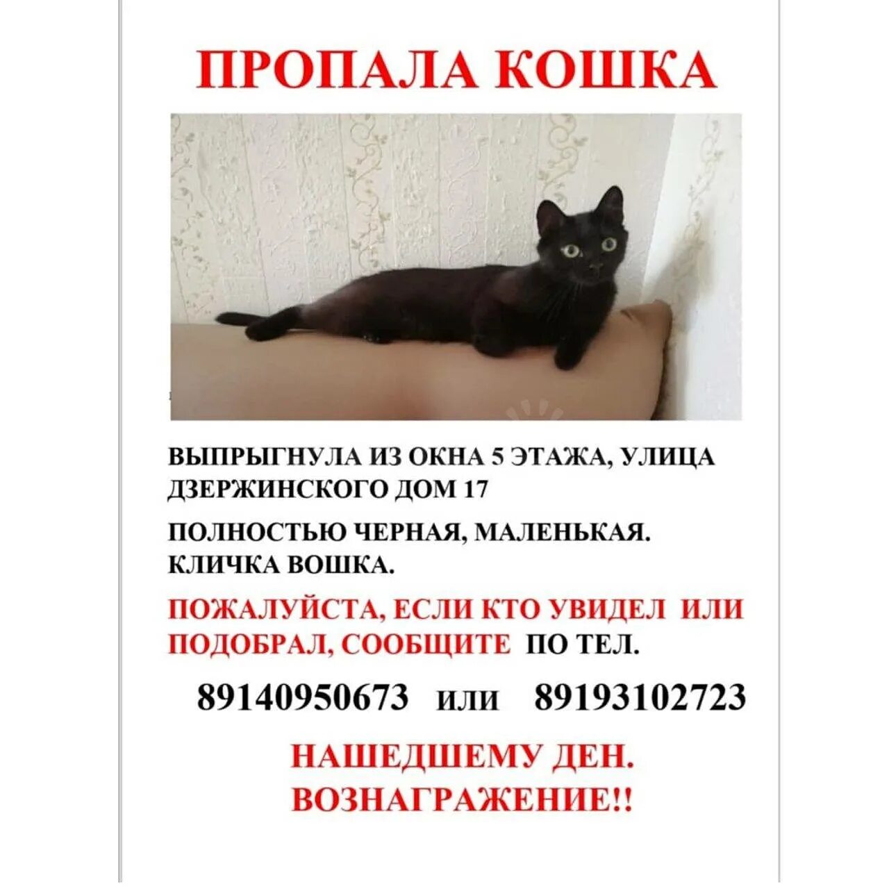 Кот ушел из дома приметы