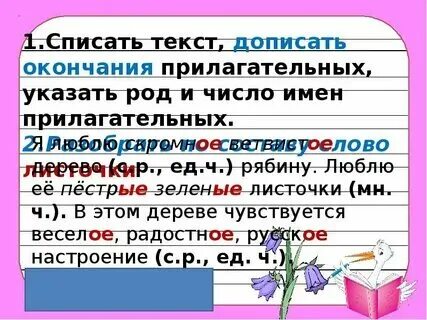 Род прилагательного во множественном числе как определить