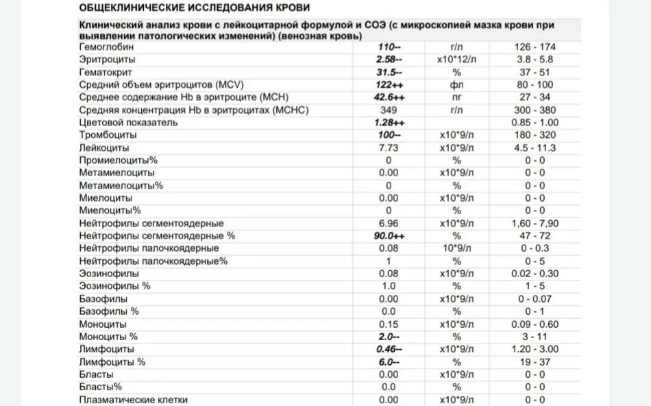 Какие лейкоциты при беременности