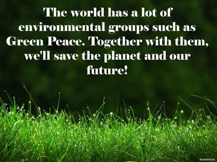 The environment a lot