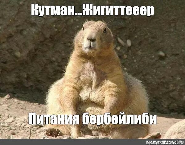 Простите ору