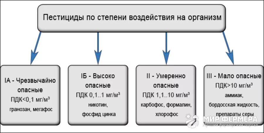 Эффект пестицида. Влияние пестицидов на организм человека схема. Пестициды влияние на организм. Пестициды по степени воздействия на организм. Воздействие пестицидов на человека.