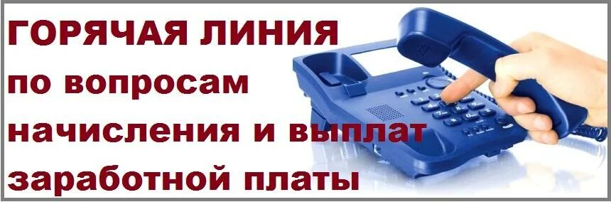 Телефон горячей линии т. Горячая линия по вопросам оплаты труда. Телефон горячей линии. Горячая линия пятерки. Горячая линия Пятерочки по заработной плате.