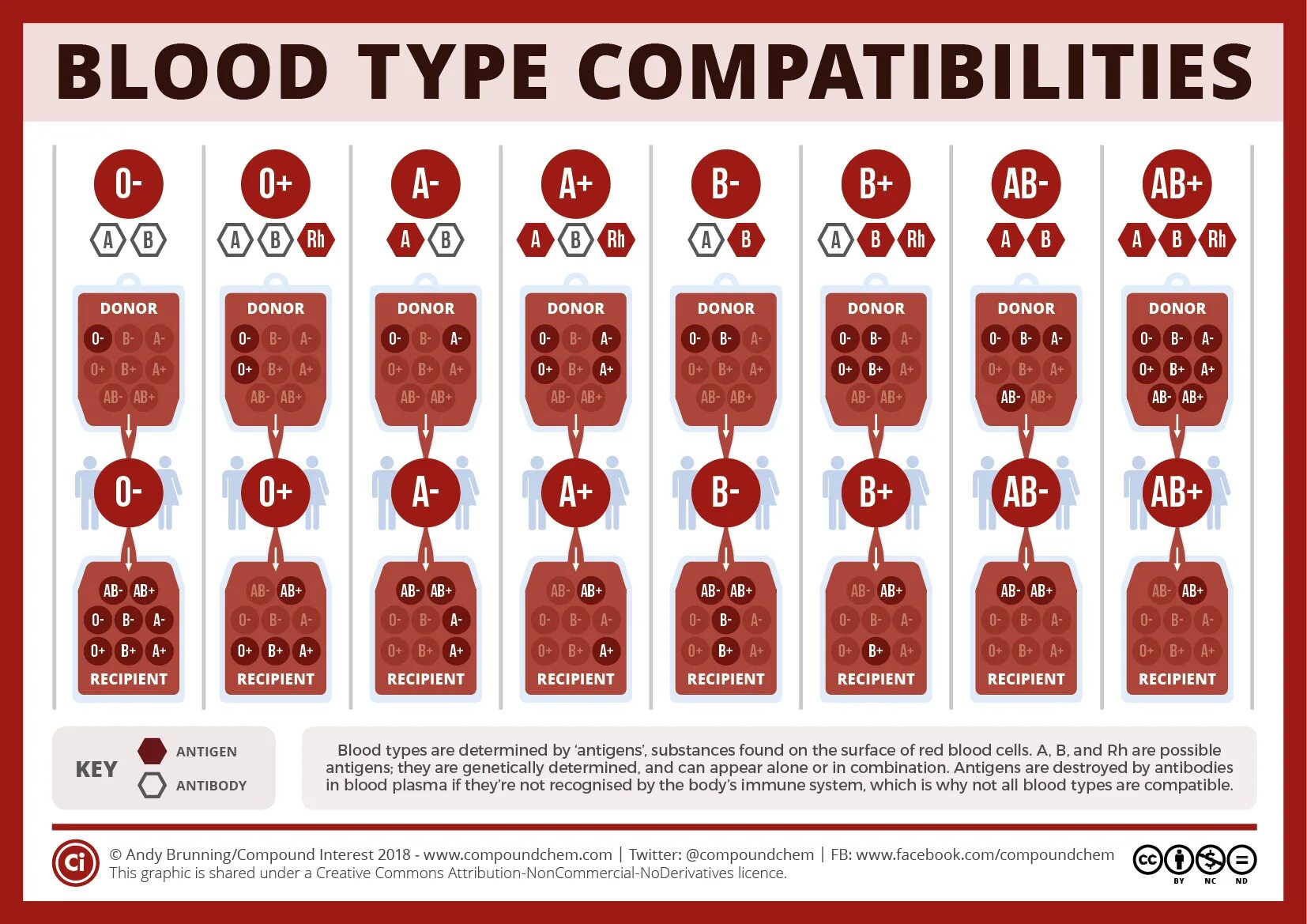 Как по английски кровь. Blood Type. Ab Blood Type. Группа крови. Группы крови картинки.