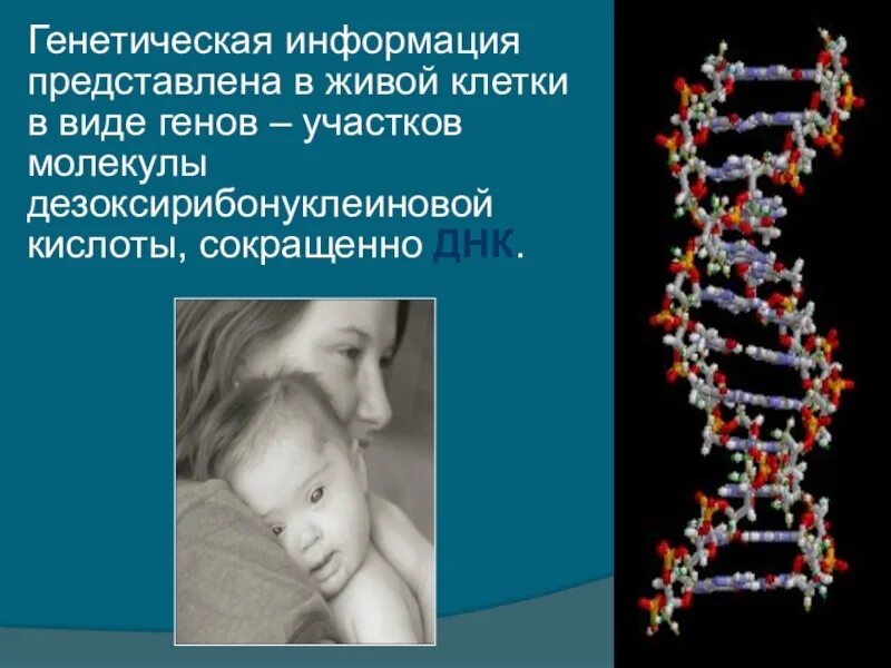 Хранящей генетическую информацию. Генетическая информация. Генетическая информация информация. Генетика информация. Генетическая информация это в биологии.