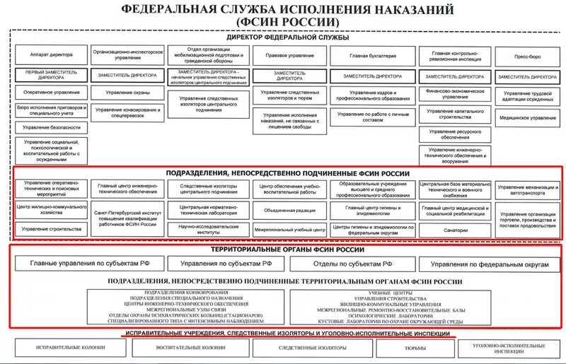 Федеральная служба наказаний рф. Структура территориального органа ФСИН России схема. Структурные подразделения ФСИН. Организационная структура ФСИН РФ. Схема территориального органа ФСИН России.