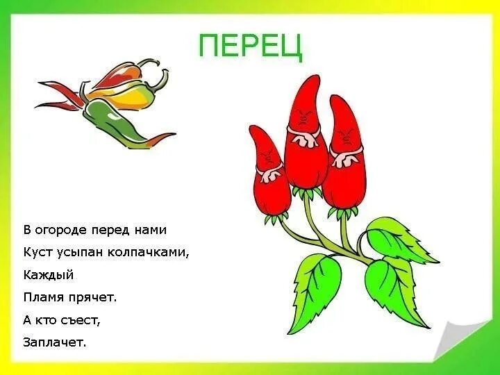 Стихи про перец. Загадка про болгарский перец для детей. Доклад про перец. Стихи про перец. Загадки про перец для детей.