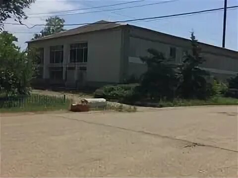 Село виноградное калмыкия городовиковский район. Виноградник корона абрау дюрсо. Калмыкия городовиковский район село. Виноградное городовиковского района. Виноградное калмыкия.