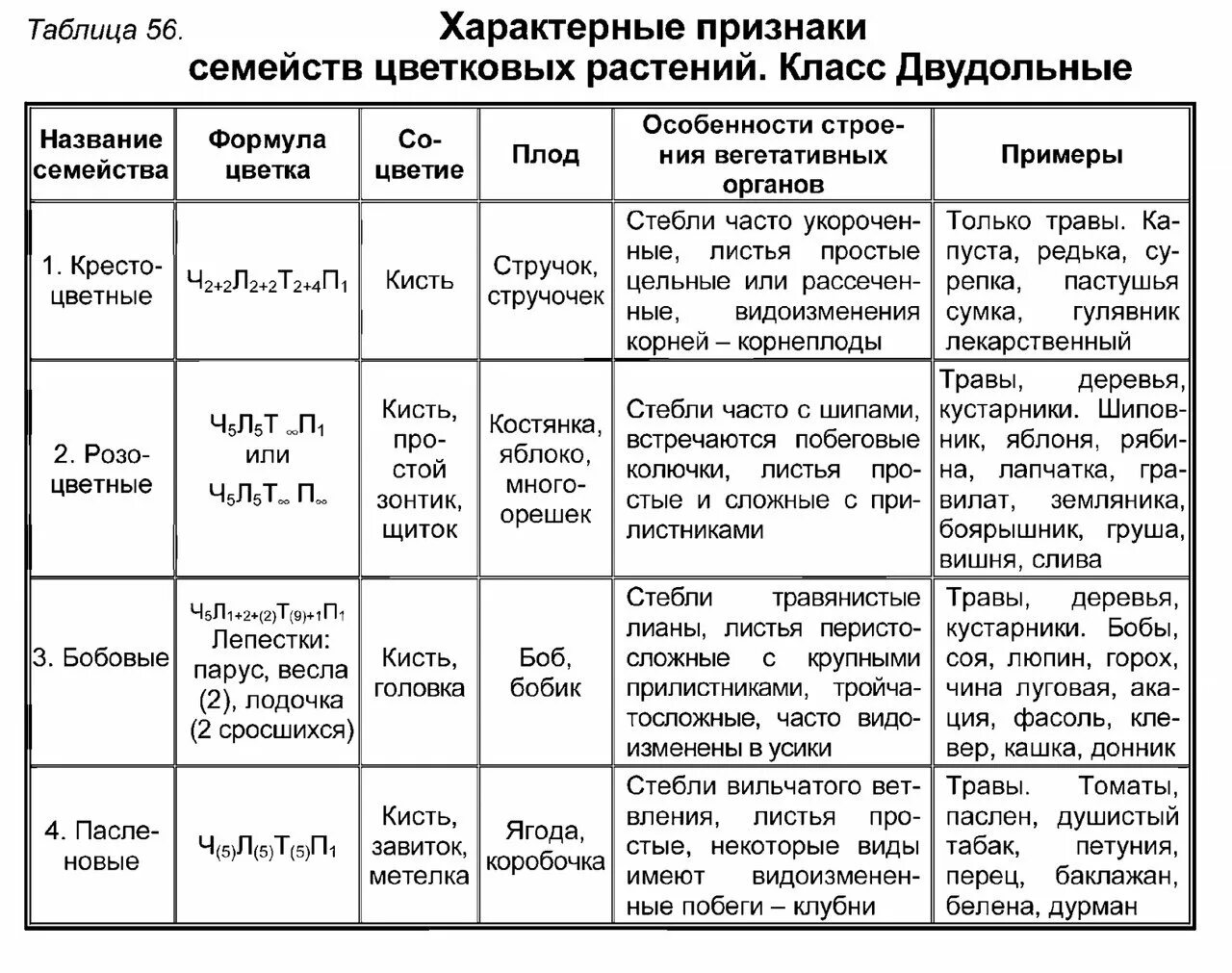 Ч5л5т5п1 формула какого класса. Характеристика семейства цветковых растений двудольные. Семейство покрытосеменных растений таблица 7 класс. Характеристика признаков семейства однодольных растений. Таблица 11 основные признаки семейств цветковых растений.