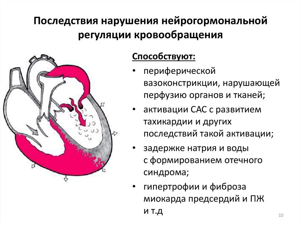 Нарушение кровообращения механизмы. Митральная недостаточность гемодинамика схема. Митральная недостаточность патологическая анатомия. Схема кровообращения стенозе митрального клапана. Особенности гемодинамики при митральном стенозе.