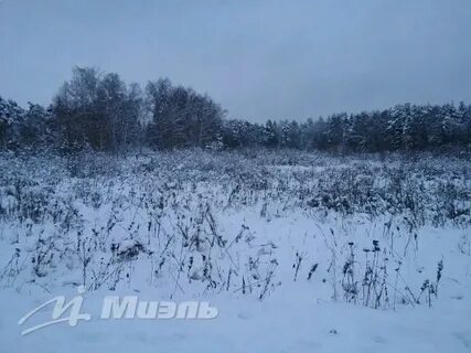 37 купавна