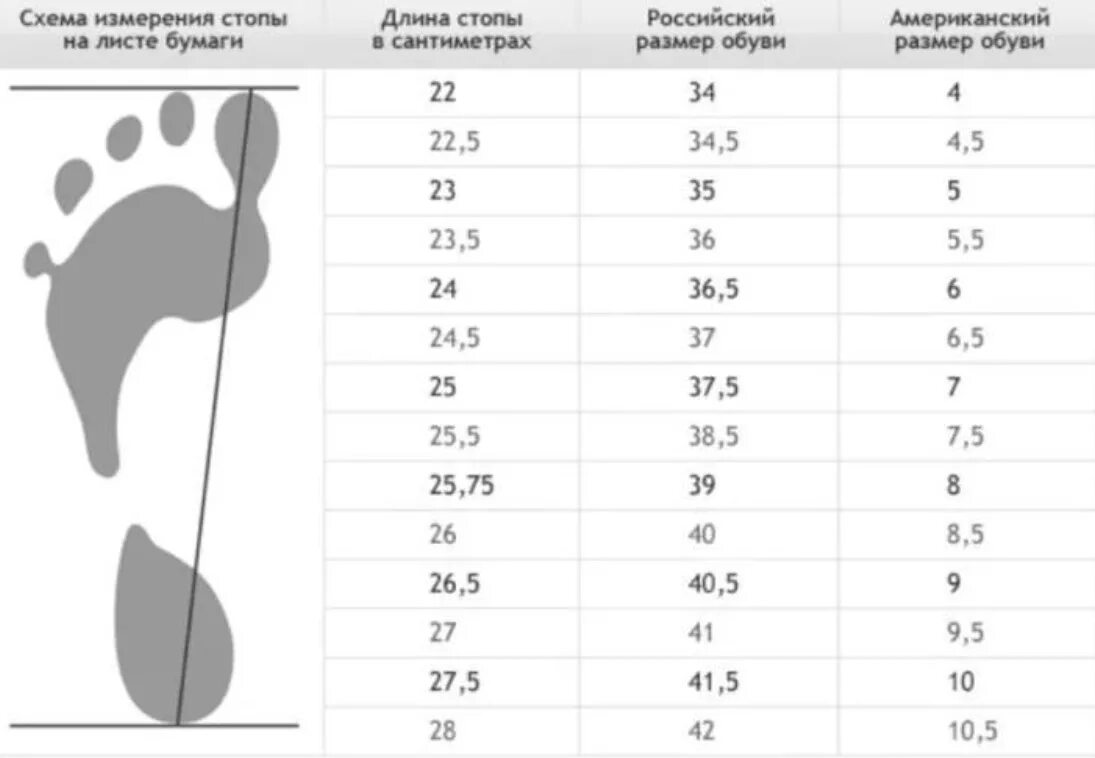 Стопа 28 см. 25 Размер обуви длина стопы. Нога 26 см размер обуви. Размер обуви длина стопы 26 см. 25 См какой размер ноги.
