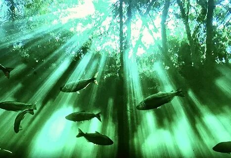 Seven worlds