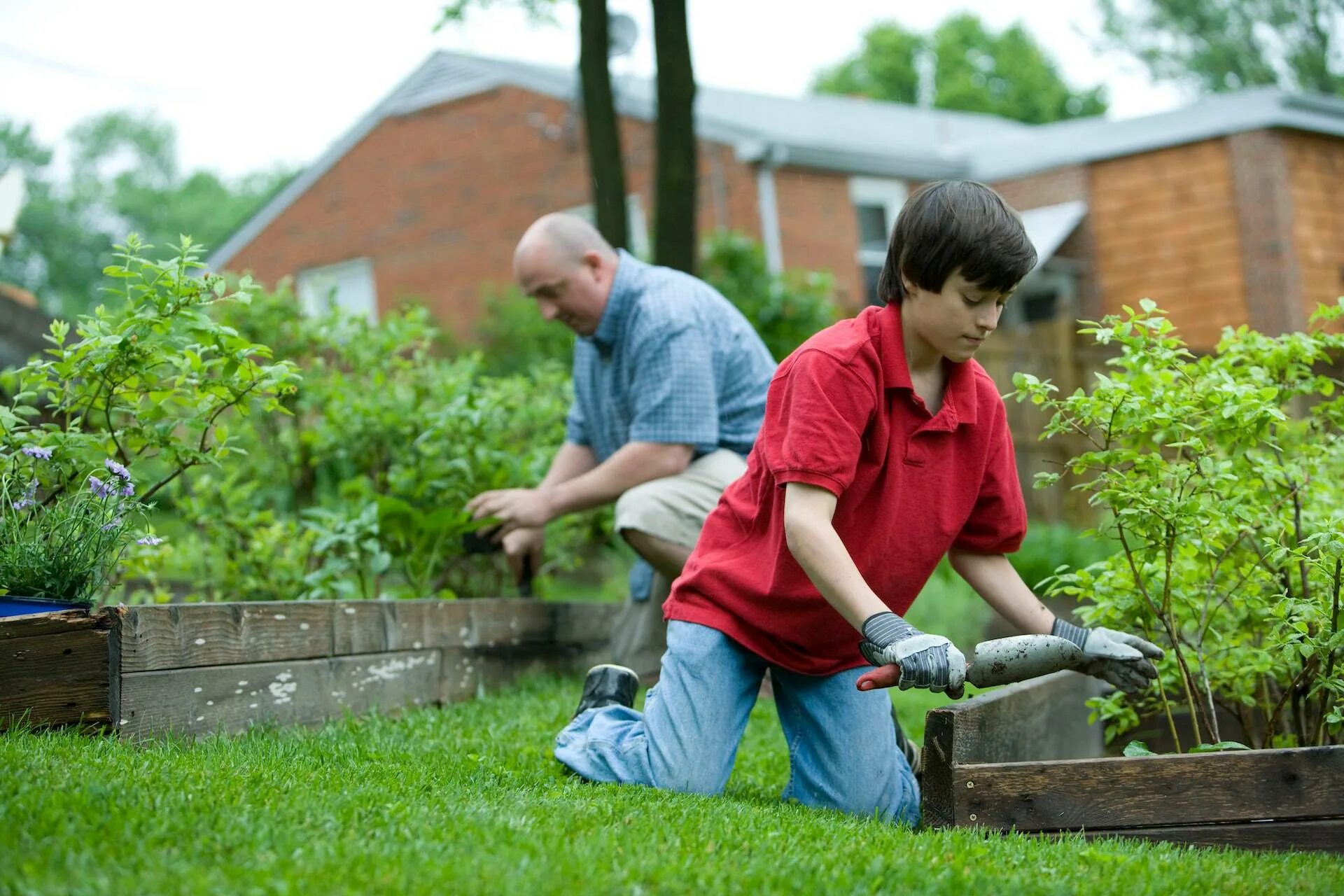 Get my garden