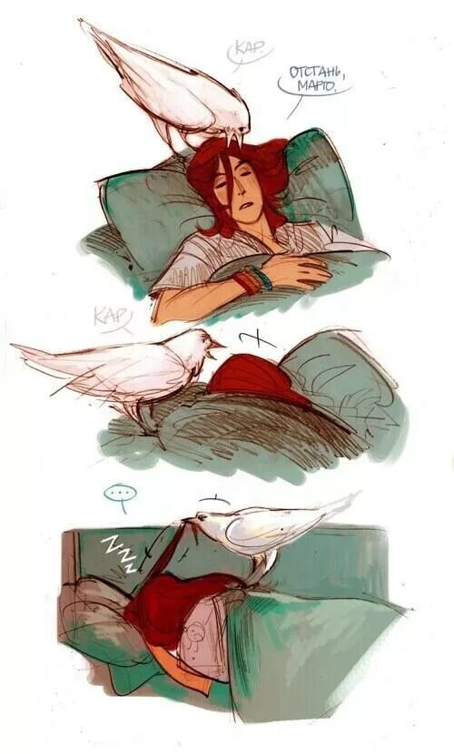 Фанфик разумовский птица. Фанфик разумовский птица. Фанфик разумовский птица. Разумовский птица. Фанфик разумовский птица.