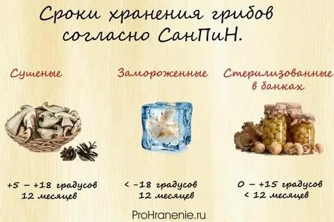 Сколько хранятся грибы закрытые в банки