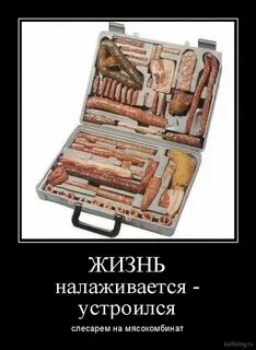 Жизнь налаживается