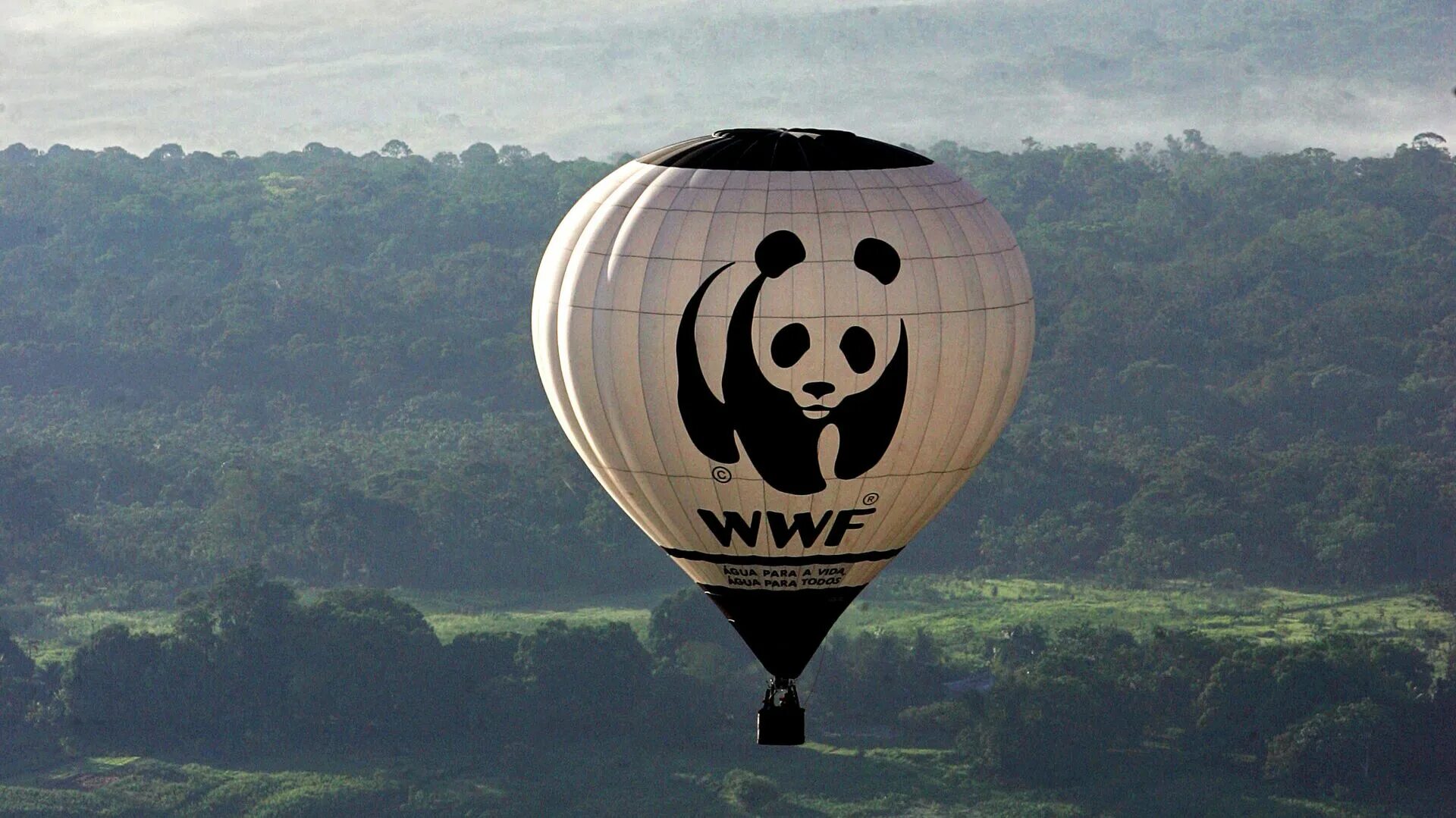Всемирный фонд дикой природы WWF России. ВВФ фонд дикой природы. «Всемирный фонд дикой природы» Швейцария. The World wide Fund for nature (WWF). Символ дикой природы