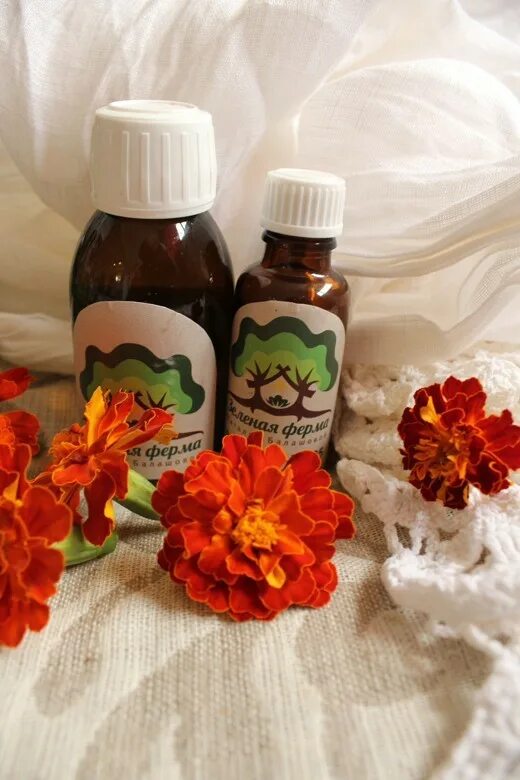 Полезные свойства растительных масел. Срок хранения конопляного масла. Компас здоровья масло конопли. Масло бархатцев. Полезные растительные масла.