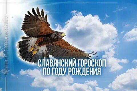 Славянский гороскоп по годам рождения