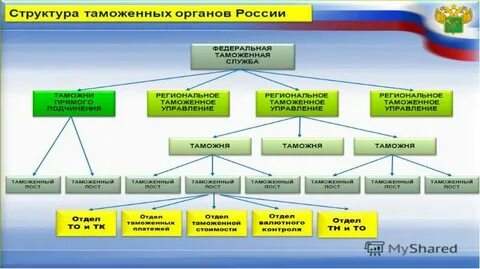 Структура гтк