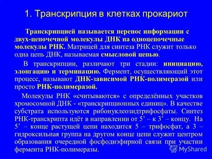 Транскрипция механизм