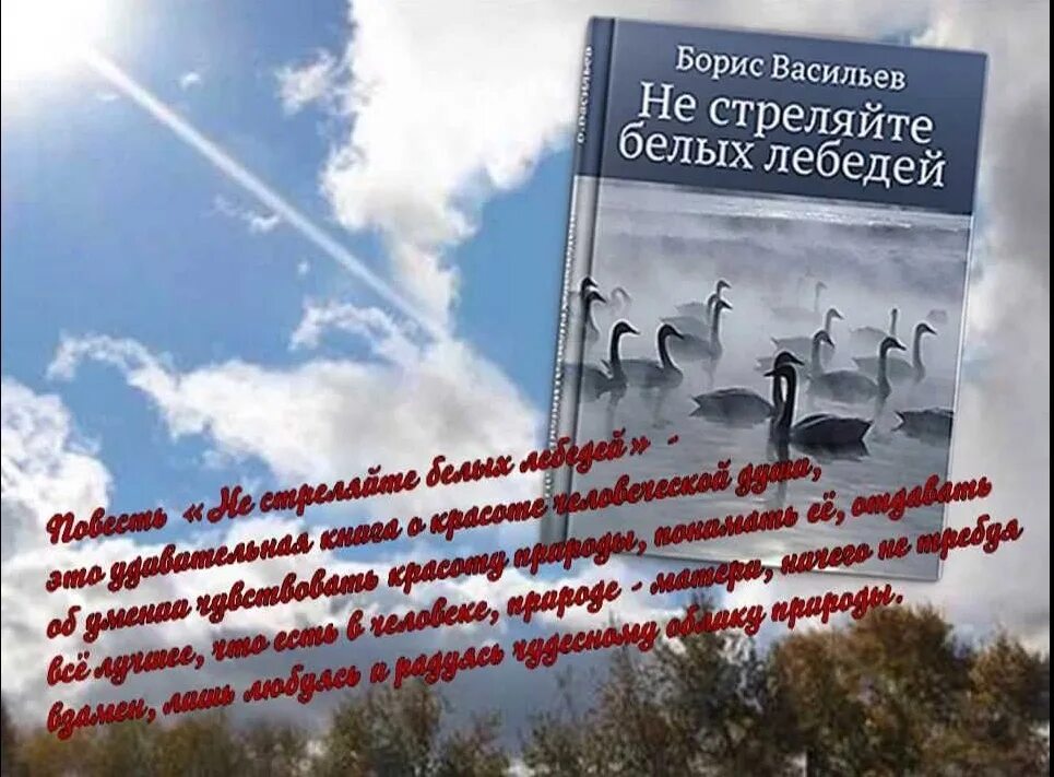 Не стреляйте в белых лебедей чем закончилось. Не стреляйте в белых лебедей чем закончилось