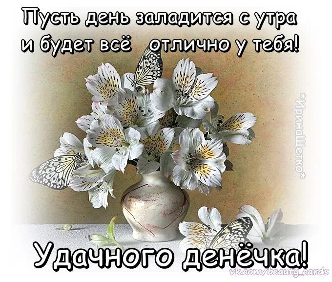 Пусть тебе в жизни все удается. Пусть день сложится. Доброе утро пусть день сложится удачно. Пусть день с утра заладится. Доброго дня пусть день сложится удачно.