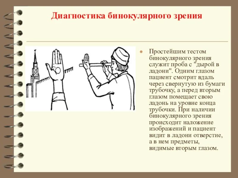 Формирование бинокулярного зрения у человека. Исследование бинокулярного зрения. способы определения бинокулярного зрения. способы исследования бинокулярного зрения. способы (пробы) выявления бинокулярного зрения..