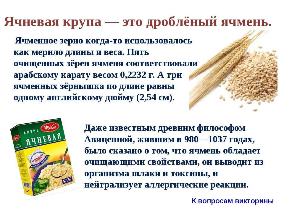 Из какого зерна сделана ячневая крупа. Ячневая крупа дробленая. ячменная крупа ячневая дробленая 600гр. приготовление ячменной крупы. ячневую крупу получают из:.
