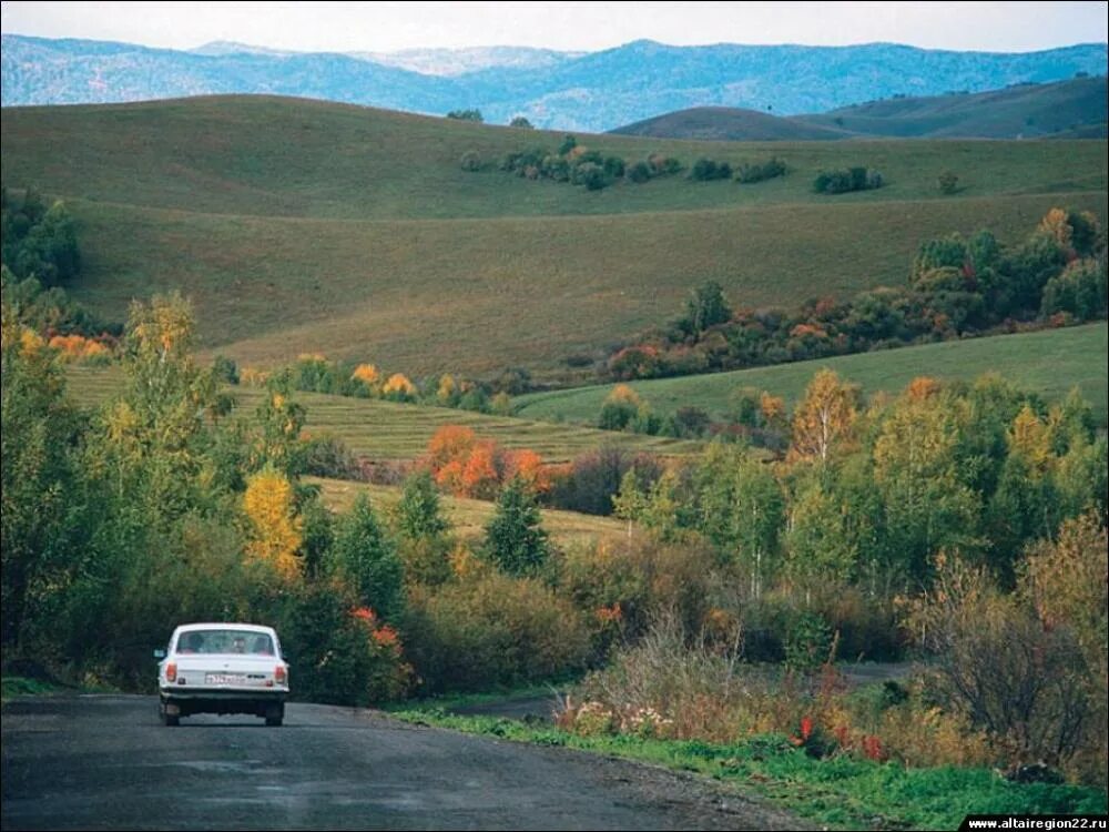 Окручивание. Село топольное алтайский край солонешенский. Село топольное алтайский край солонешенский. Горный алтай солонешное. Погода в селе топольном алтайского края.