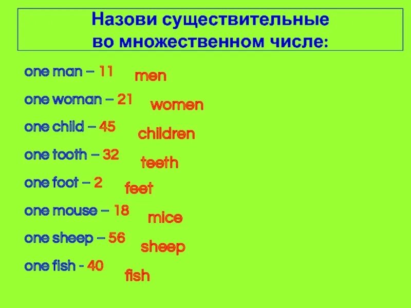Child множественное число. Существительные множественного числа. Существительное во множественном числе. Tooth множественное число в английском языке.