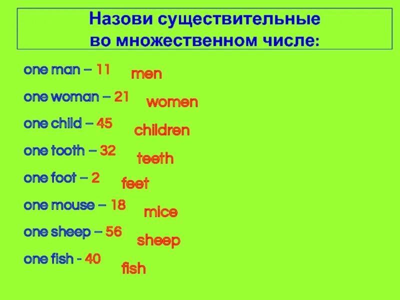 Foot mouse child man. Child множественное число. Существительные множественного числа. Существительное во множественном числе. Tooth множественное число в английском языке.