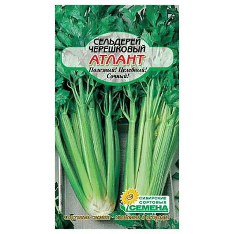Сельдерей атлант. Сельдерей Атлант черешковый. Семена. Сельдерей черешковый.
